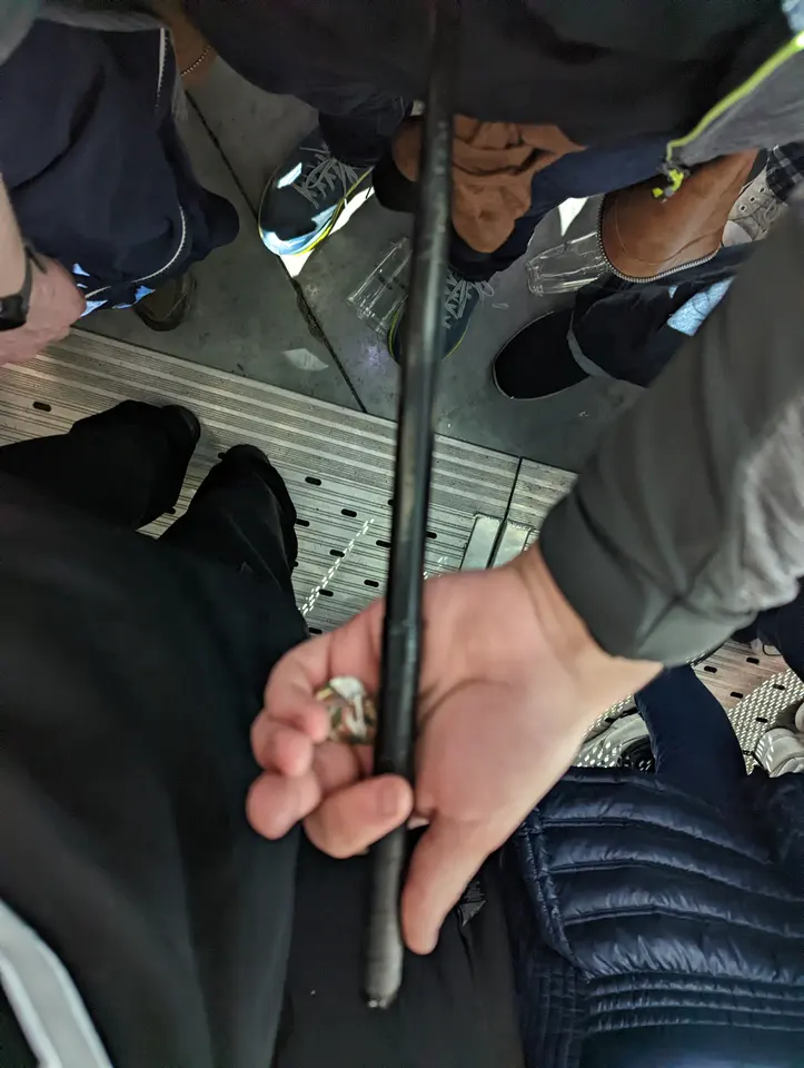 Baguette et médiators attrapés !