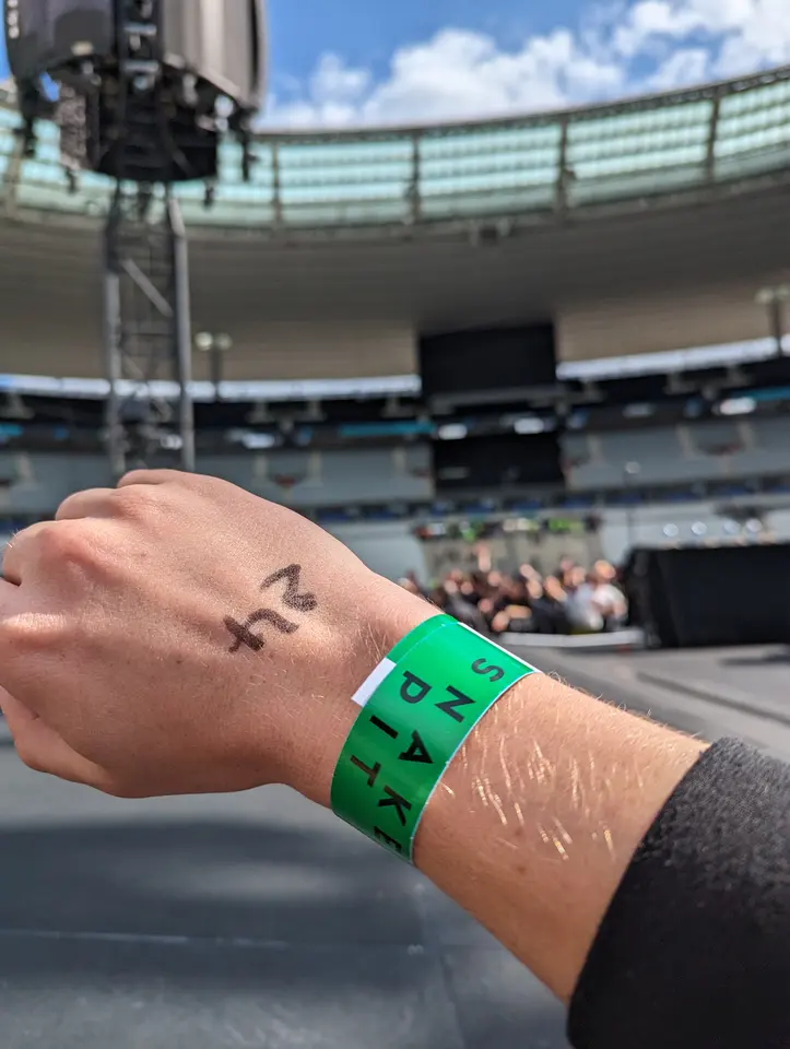 Le précieux bracelet Snake Pit