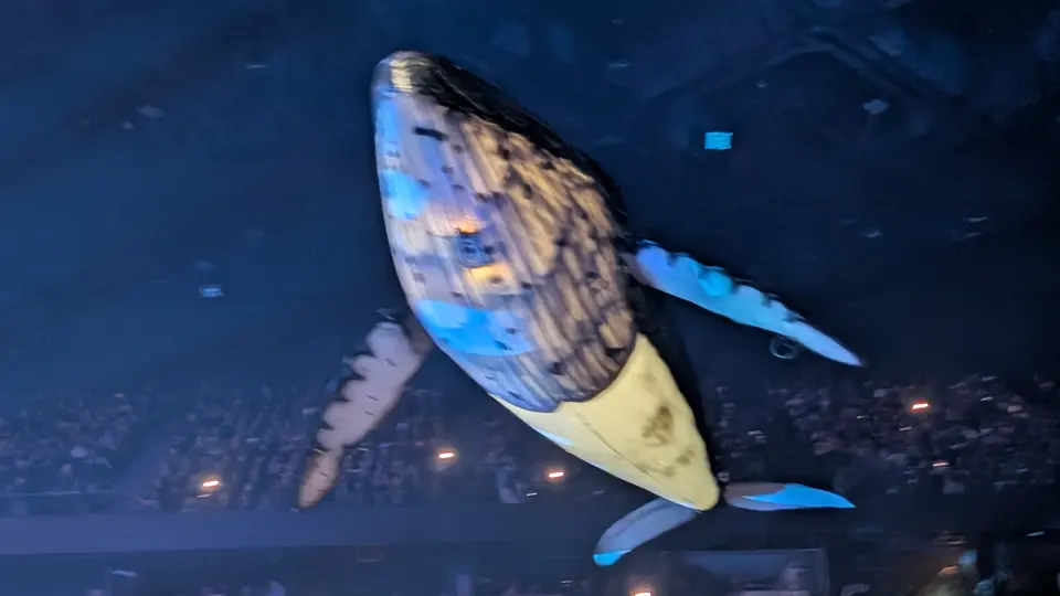 La baleine gonflable survole l'arène